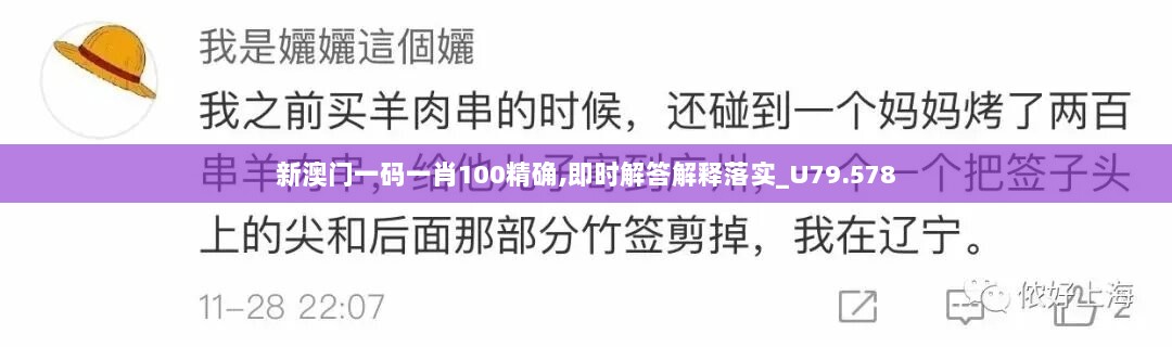 新澳门一码一肖100精确,即时解答解释落实_U79.578