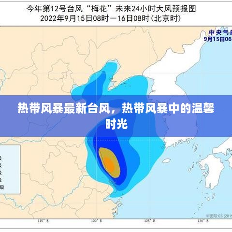 热带风暴中的温馨时光，与自然共度的独特时刻