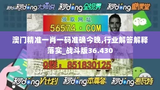 澳门精准一肖一码准确今晚,行业解答解释落实_战斗版36.430