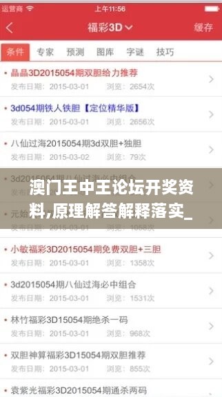 澳门王中王论坛开奖资料,原理解答解释落实_户外版26.733