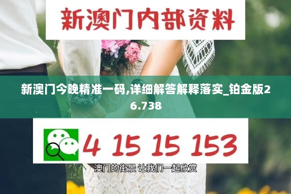 新澳门今晚精准一码,详细解答解释落实_铂金版26.738