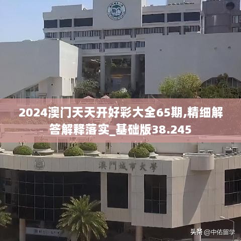 2024澳门天天开好彩大全65期,精细解答解释落实_基础版38.245