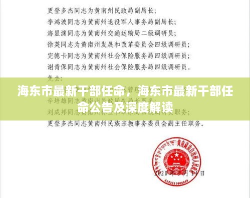 海东市最新干部任命公告及深度解读