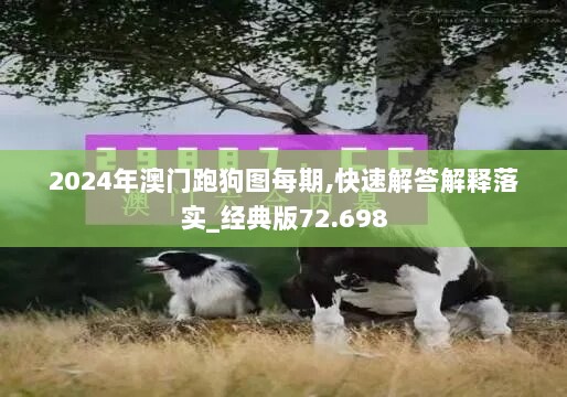 2024年澳门跑狗图每期,快速解答解释落实_经典版72.698