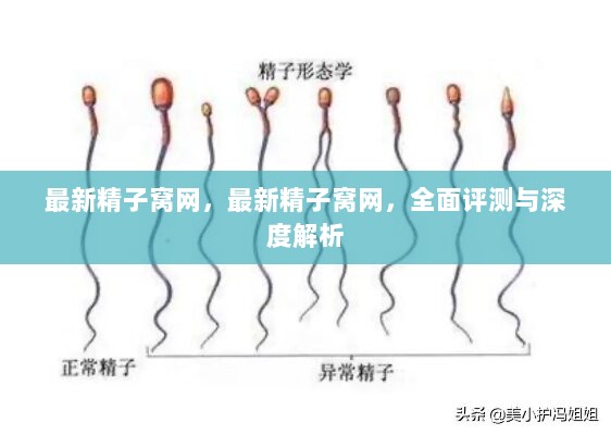 2024年11月8日 第9页