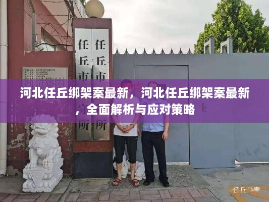 河北任丘绑架案最新进展，全面解析与应对策略