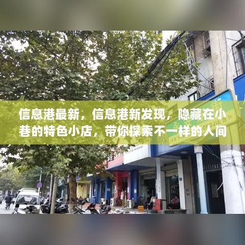 信息港新探，隐藏小巷的特色小店，带你领略别样人间烟火