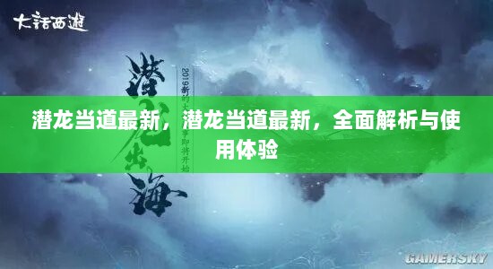 潜龙当道最新全面解析与使用体验