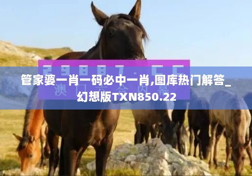 管家婆一肖一码必中一肖,图库热门解答_幻想版TXN850.22