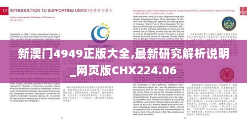 新澳门4949正版大全,最新研究解析说明_网页版CHX224.06