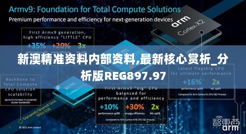 新澳精准资料内部资料,最新核心赏析_分析版REG897.97