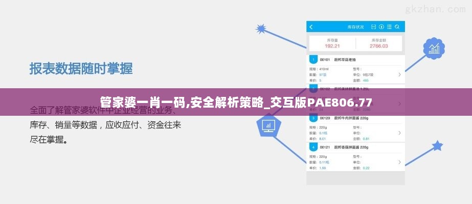 管家婆一肖一码,安全解析策略_交互版PAE806.77