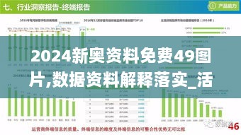 2024新奥资料免费49图片,数据资料解释落实_活现版XVM604.69