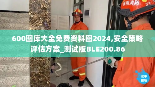 600图库大全免费资料图2024,安全策略评估方案_测试版BLE200.86