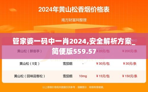 管家婆一码中一肖2024,安全解析方案_简便版559.57