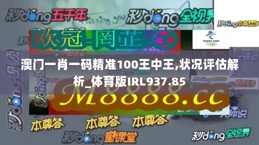 澳门一肖一码精准100王中王,状况评估解析_体育版IRL937.85