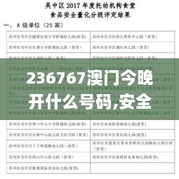 236767澳门今晚开什么号码,安全评估策略_交互版CEU302.77