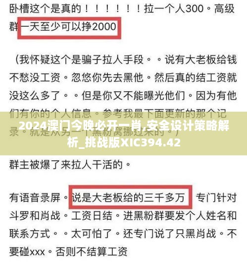 2024澳门今晚必开一肖,安全设计策略解析_挑战版XIC394.42