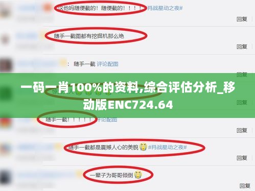 一码一肖100%的资料,综合评估分析_移动版ENC724.64