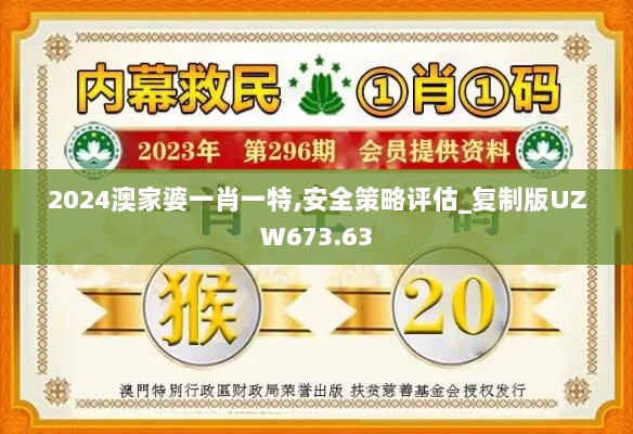 2024澳家婆一肖一特,安全策略评估_复制版UZW673.63