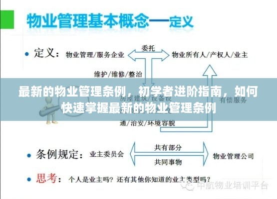 初学者进阶指南，如何快速掌握最新的物业管理条例