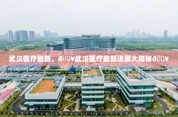 武汉医疗最新进展大揭秘，全面追踪与深度解析