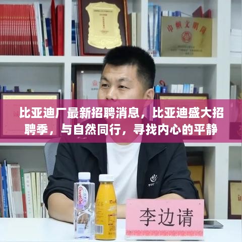 比亚迪盛大招聘季，与自然同行，寻找内心的平静，共筑未来