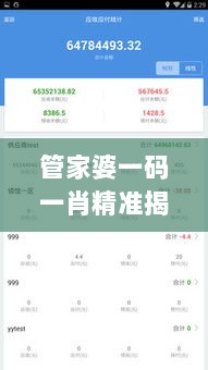 管家婆一码一肖精准揭秘：探索版EQO295.38新策略解析