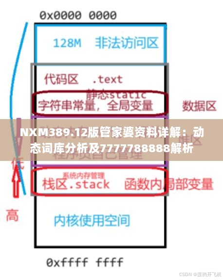 NXM389.12版管家婆资料详解：动态词库分析及7777788888解析