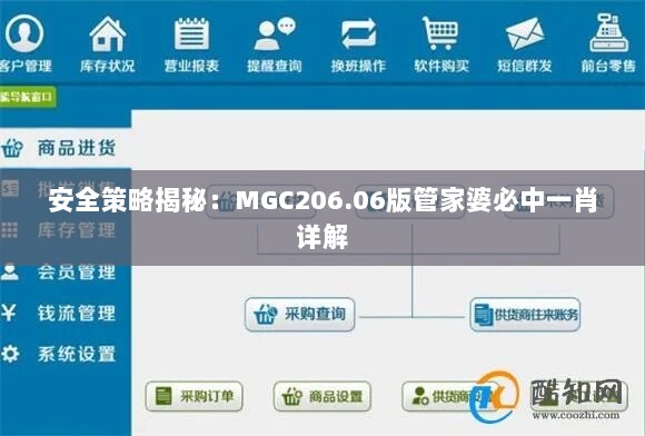 安全策略揭秘：MGC206.06版管家婆必中一肖详解