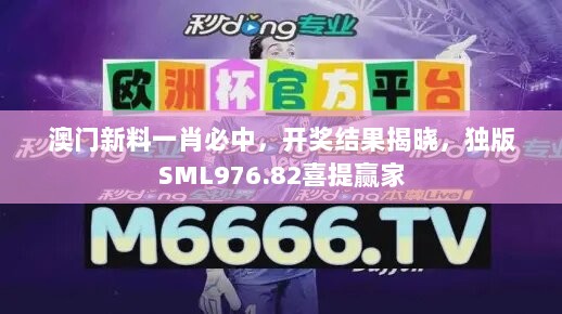 澳门新料一肖必中，开奖结果揭晓，独版SML976.82喜提赢家