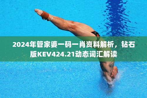 2024年管家婆一码一肖资料解析，钻石版KEV424.21动态词汇解读