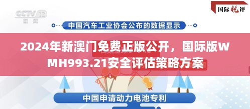 2024年新澳门免费正版公开，国际版WMH993.21安全评估策略方案