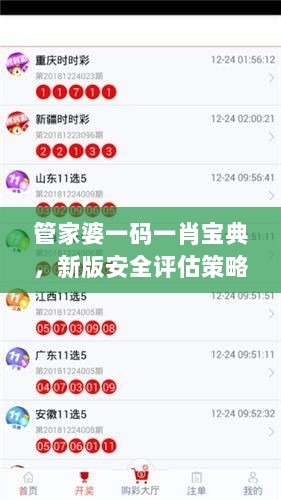 管家婆一码一肖宝典，新版安全评估策略SQX737.77