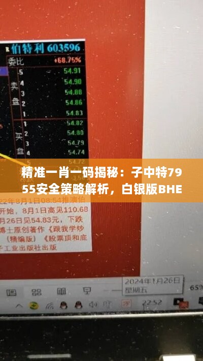 精准一肖一码揭秘：子中特7955安全策略解析，白银版BHE230.82深度剖析