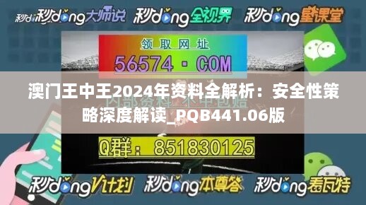 澳门王中王2024年资料全解析：安全性策略深度解读_PQB441.06版