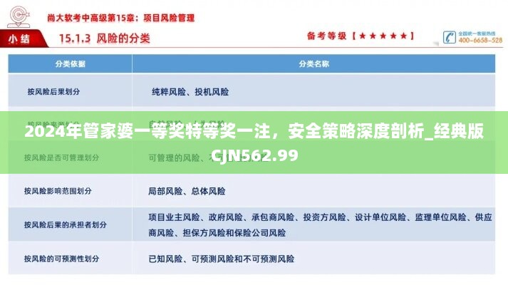 2024年管家婆一等奖特等奖一注，安全策略深度剖析_经典版CJN562.99