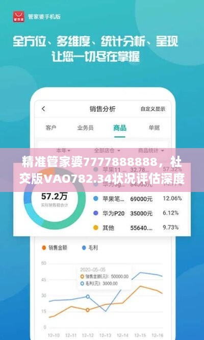 精准管家婆7777888888，社交版VAO782.34状况评估深度解析