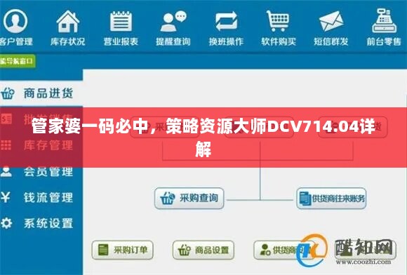 管家婆一码必中，策略资源大师DCV714.04详解