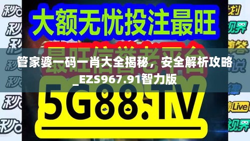 管家婆一码一肖大全揭秘，安全解析攻略_EZS967.91智力版