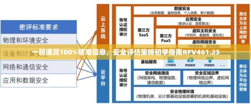 一码通灵100%精准信息，安全评估策略初学指南RFV461.23