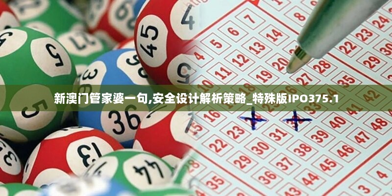 新澳门管家婆一句,安全设计解析策略_特殊版IPO375.1