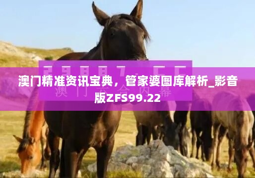 澳门精准资讯宝典，管家婆图库解析_影音版ZFS99.22