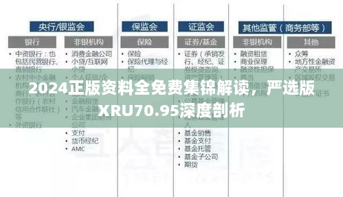 2024正版资料全免费集锦解读，严选版XRU70.95深度剖析