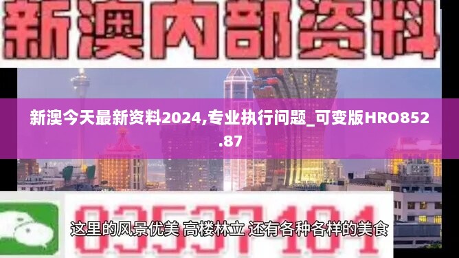 新澳今天最新资料2024,专业执行问题_可变版HRO852.87