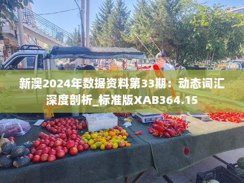 新澳2024年数据资料第33期：动态词汇深度剖析_标准版XAB364.15