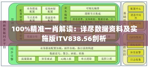 100%精准一肖解读：详尽数据资料及实施版ITV838.56剖析