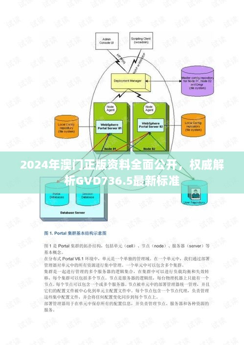 2024年澳门正版资料全面公开，权威解析GVD736.5最新标准