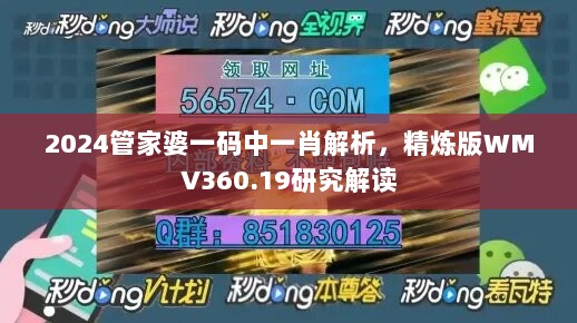 2024管家婆一码中一肖解析，精炼版WMV360.19研究解读