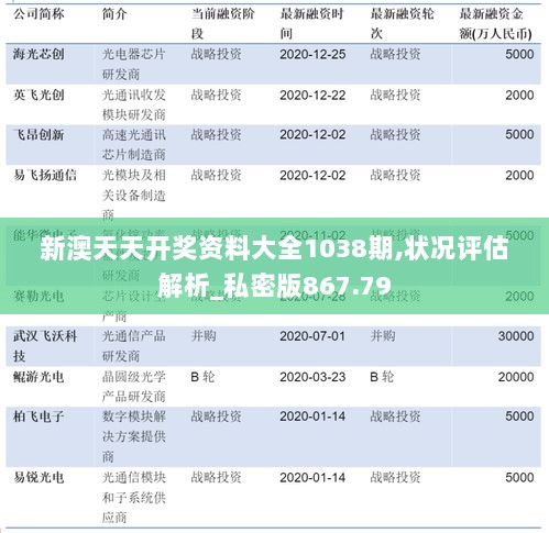 新澳天天开奖资料大全1038期,状况评估解析_私密版867.79